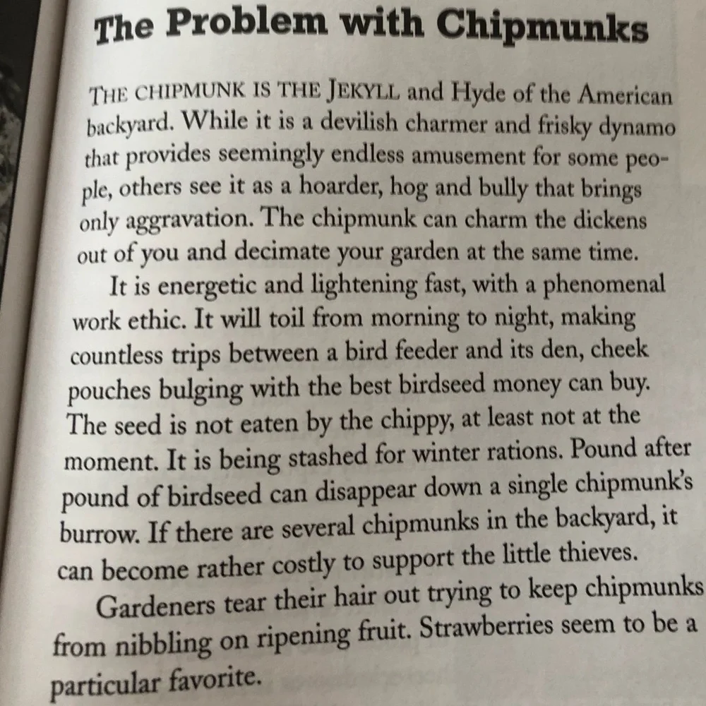 “Squirrel Wars: backyard wildlife battles and how to win them” illustrated book - Picture 6 of 12
